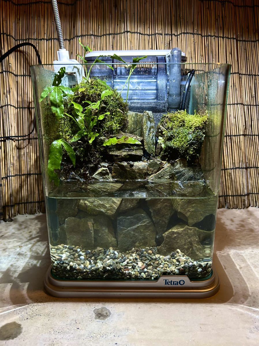 水の流れる滝テラリウム 苔テラリウム 日本庭園 水の流れる滝 水の流れる