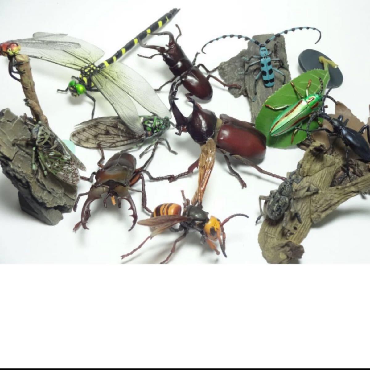 原色日本昆虫図鑑Ⅱ 原色日本昆虫図鑑2 ページ1 【中古