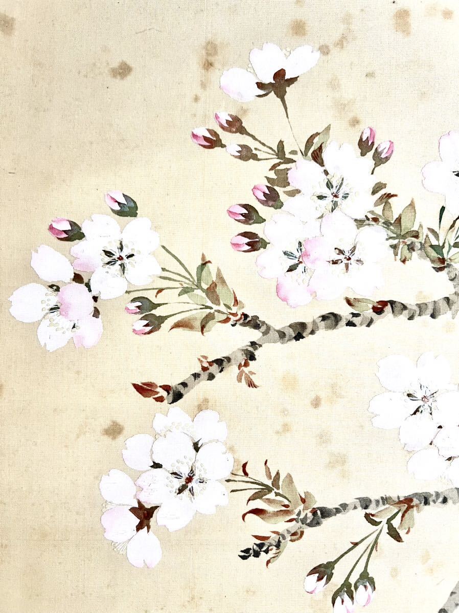 夜桜図】智 2613 花見 月 共箱 掛け軸 肉筆 【公式通販】