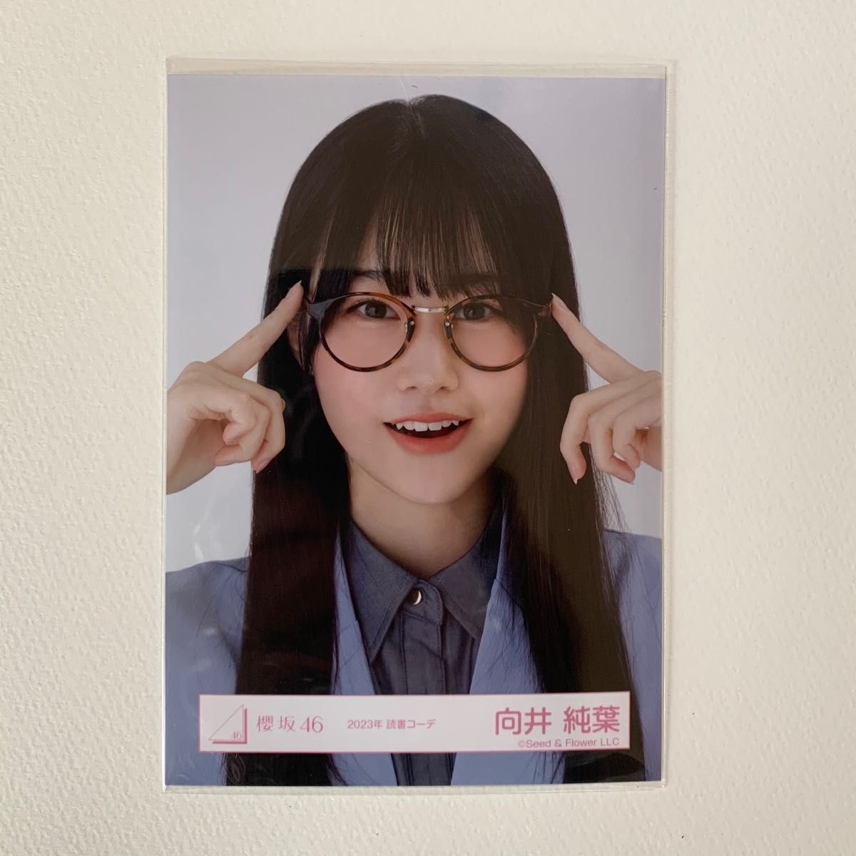 櫻坂46 向井純葉 秘蔵生写真 メンバーサイン入り 直筆 IWTC 櫻坂