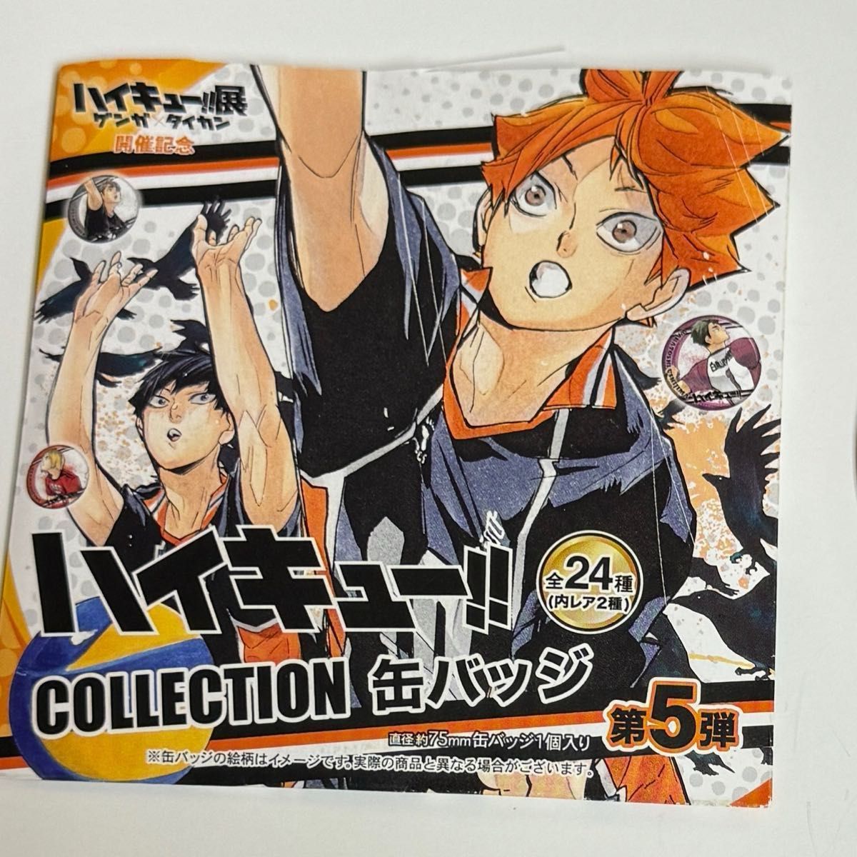 ハイキュー ハイキュー展 ゲンガタイカン コレクション缶バッジ 第5弾