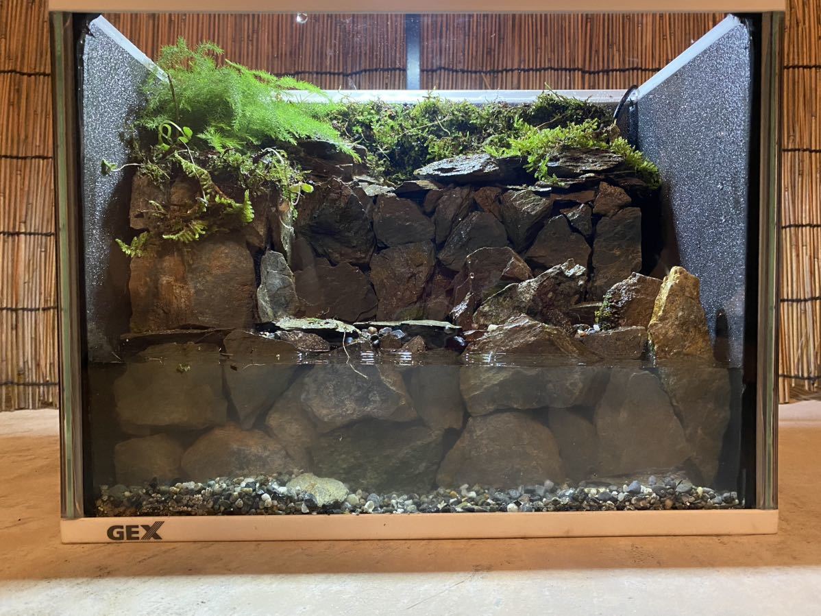 水の流れる滝テラリウム水槽 完成品⭐︎ 滝から実際水の流れる 苔