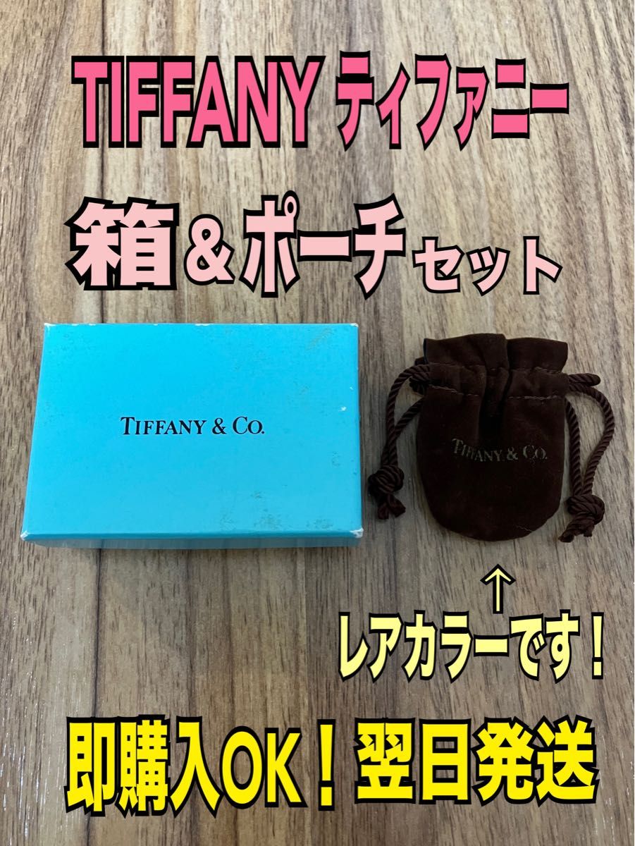 レアカラー【翌日発送】ティファニー 巾着 アクセサリー用 保存袋 ミニ