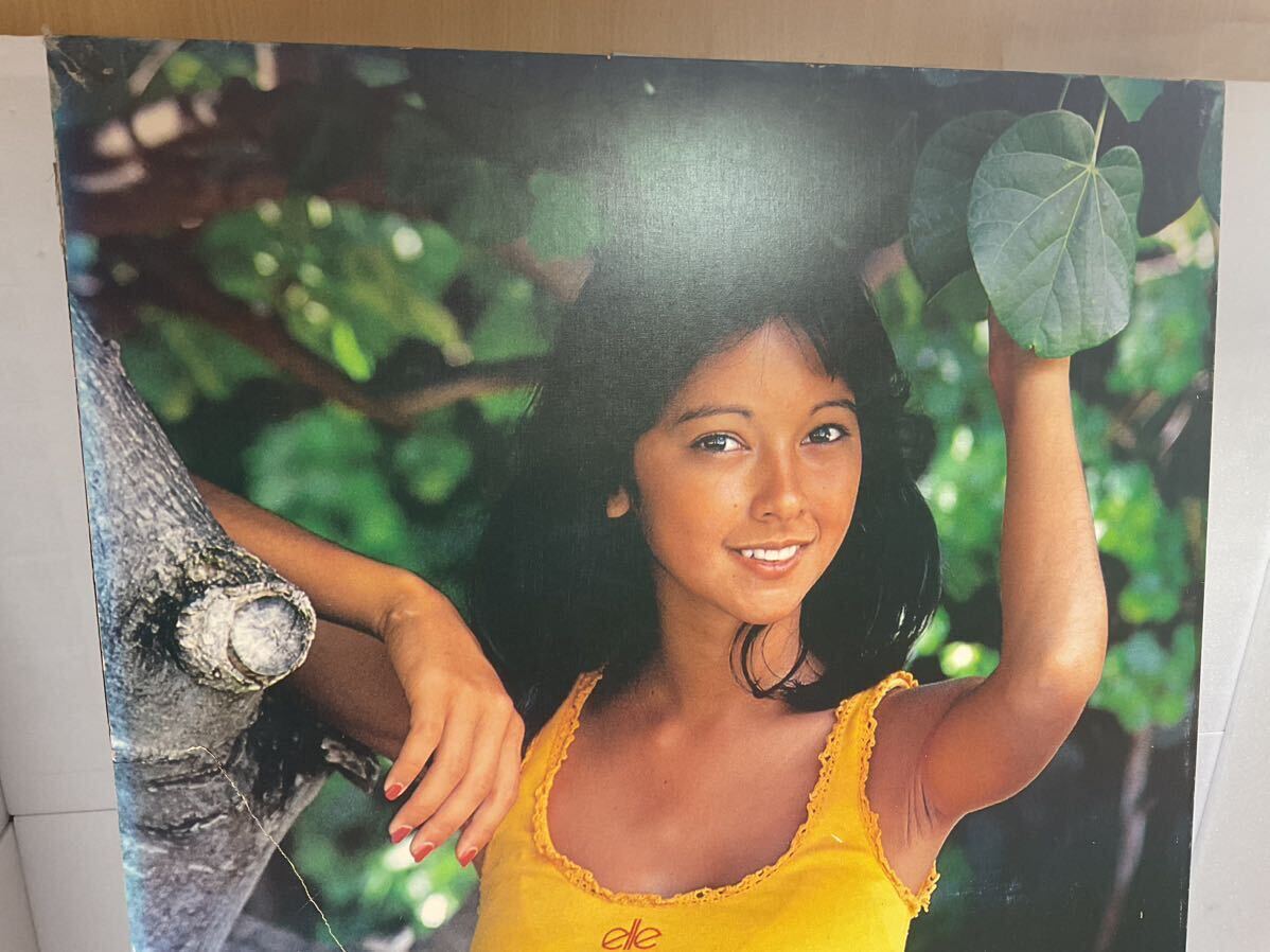 希少 当時物 アグネス ラム フォトグラフ パネル ポスター 木製