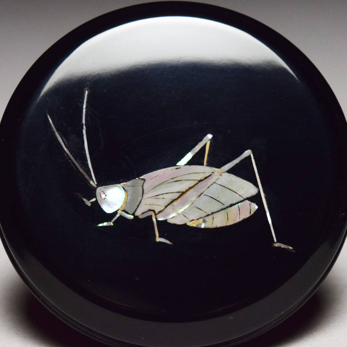 八八八】漆匠 二代 佐野長寛 造 螺鈿 鈴虫 香合 ◇共箱