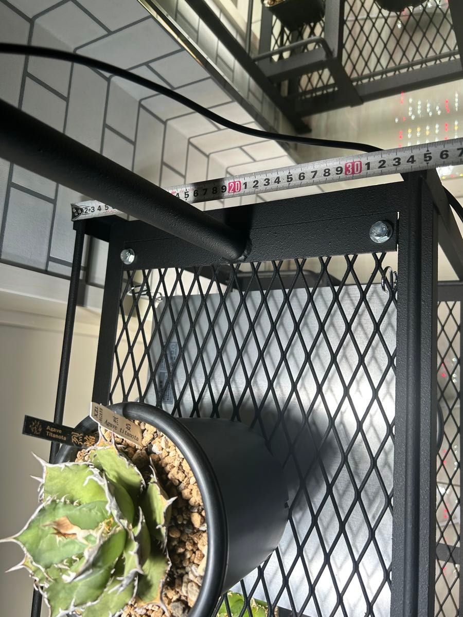 高さ調整ダクトレールバー付きアイアンラック！植物 アガベ アイアン