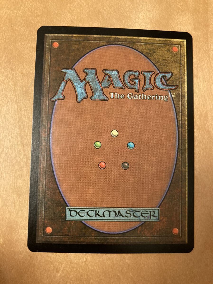 MTG 英語版 サーボ・タヴォーク foil MTG foil 英語 サーボ