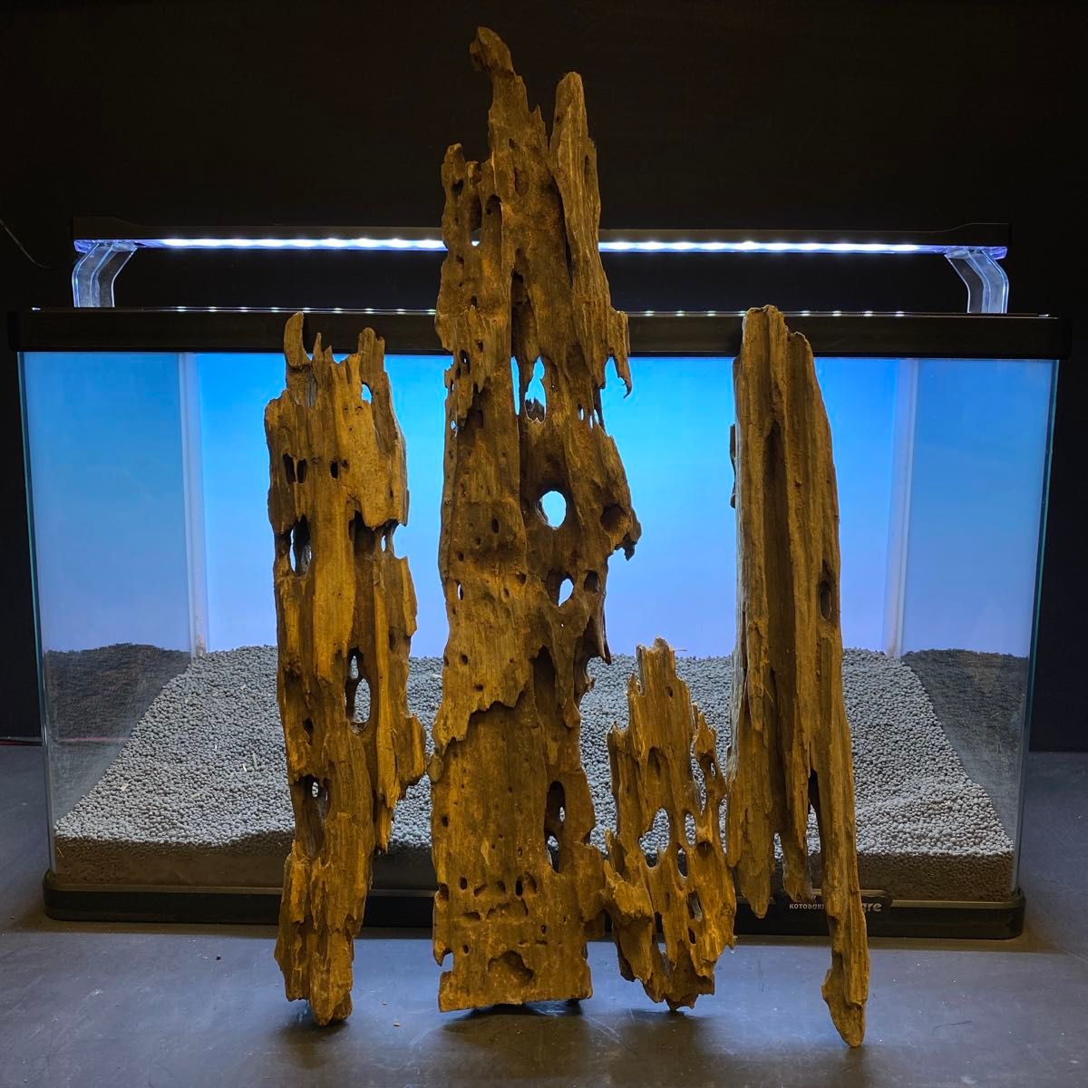 MMW-5286-5287マシンガンウッド10本セット 60cm水槽用 流木