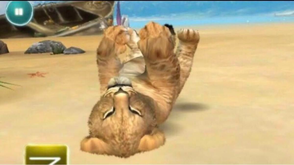 パンダ等追加の完全版 Kinect アニマルズ animals フシギな島のなかま