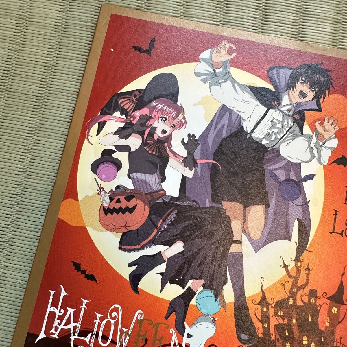 機動戦士ガンダムSEED ガンダムカフェ限定ポスター カガリ 【公式通販】