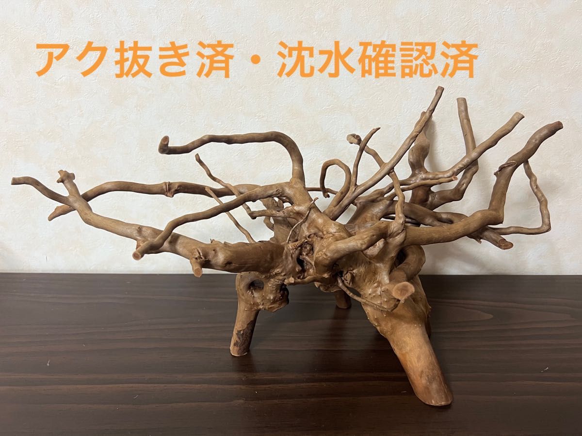 13003 ブランチウッド 流木 アクアリウム 沈水確認済 13003 ブランチ