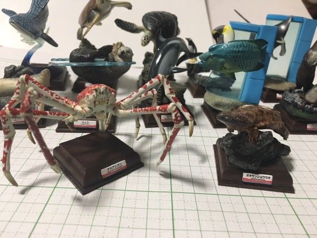 フィギュア 海遊館ミュージアム(全12種)コンプリート フィギュア 海