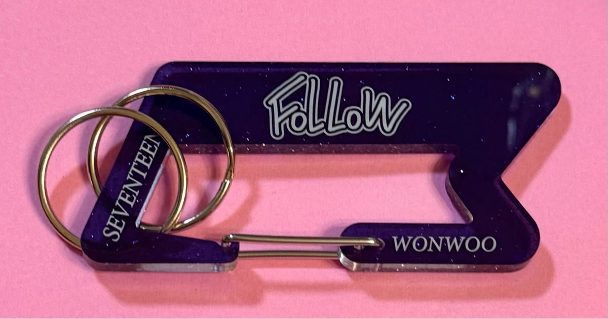 SEVENTEEN セブチ FOLLOW AGAIN アンコン ウォヌ カラビナ キーリング