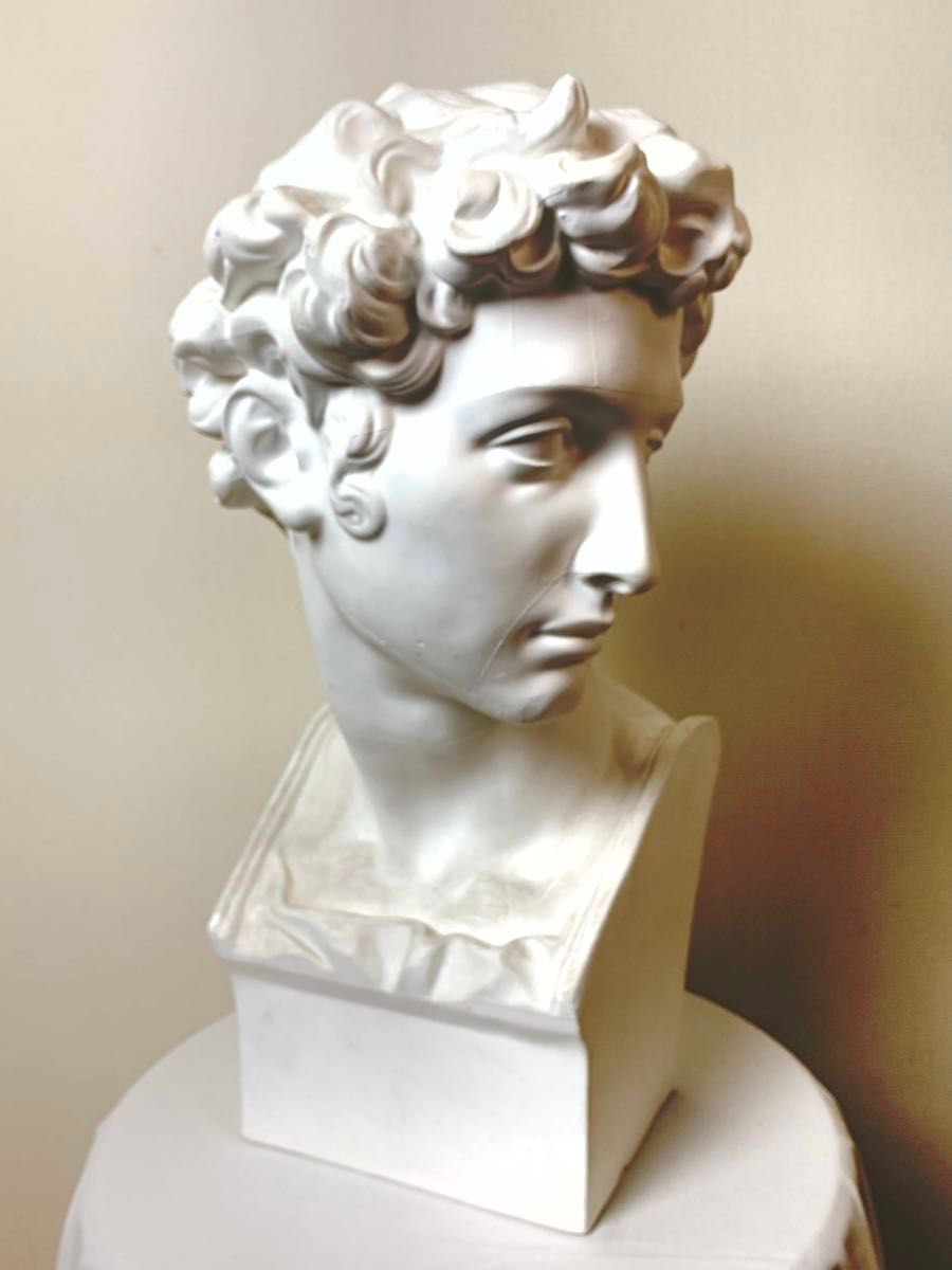 メディチ像】石膏デッサン インテリア ディスプレイ YOKOHAMA Oka 置物