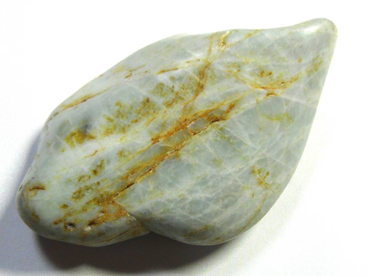 2025.8.31海霊イカ 糸魚川グレ翡翠 2025.8.31海霊イカ 糸魚川グレ翡翠