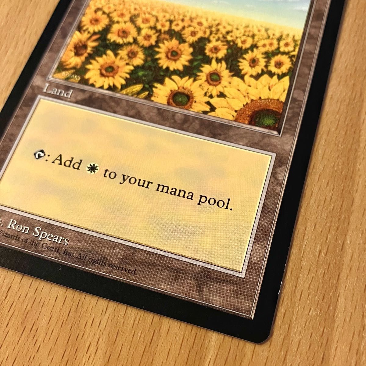 MTG APACランド 平地 ひまわり 6枚セット MTG APACランド 平地