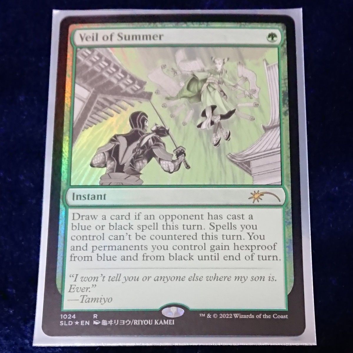 サーボの網 英語 FOIL サーボの網 英語 FOIL サーボの網 英語 FOIL