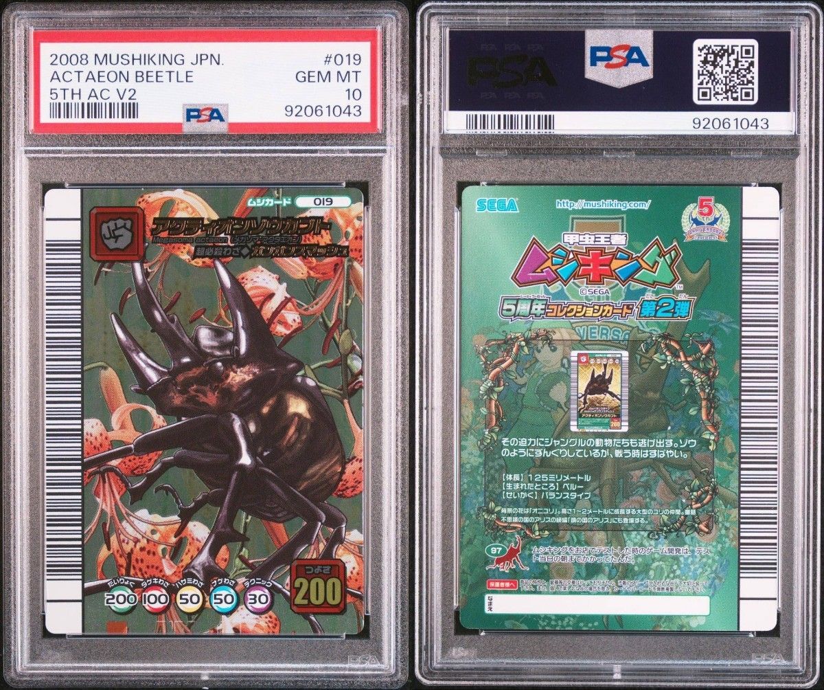 ムシキング5周年コレクションカード第二弾アクティオンゾウカブト