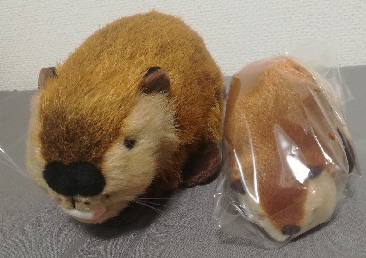 SUPER BEAVER公式グッズ スーパービーバーちゃん ぬいぐるみ&吉徳