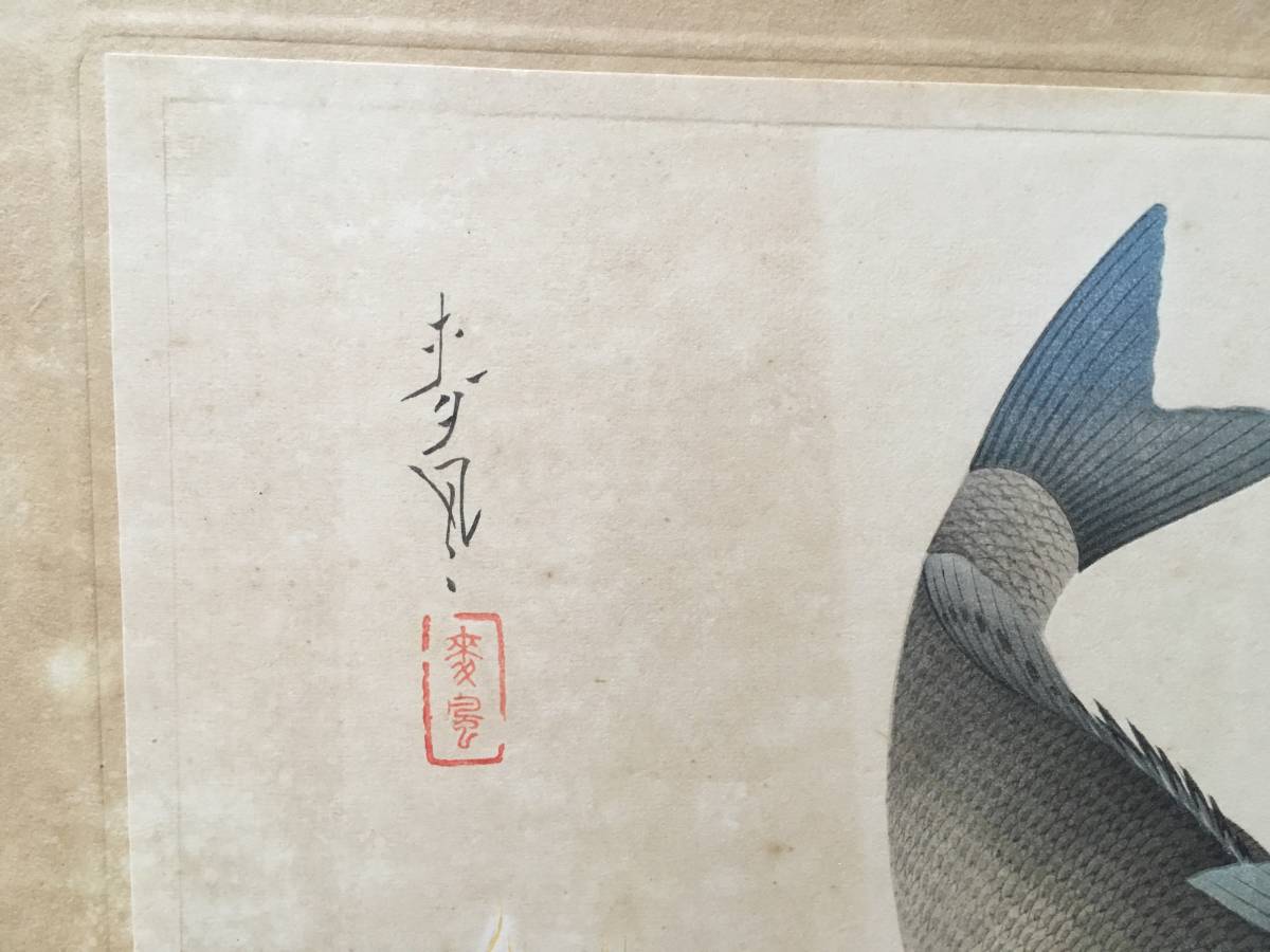 クロダイ】「大日本魚類画集」 大野麥風 木版画 大野麦風 おおのばく