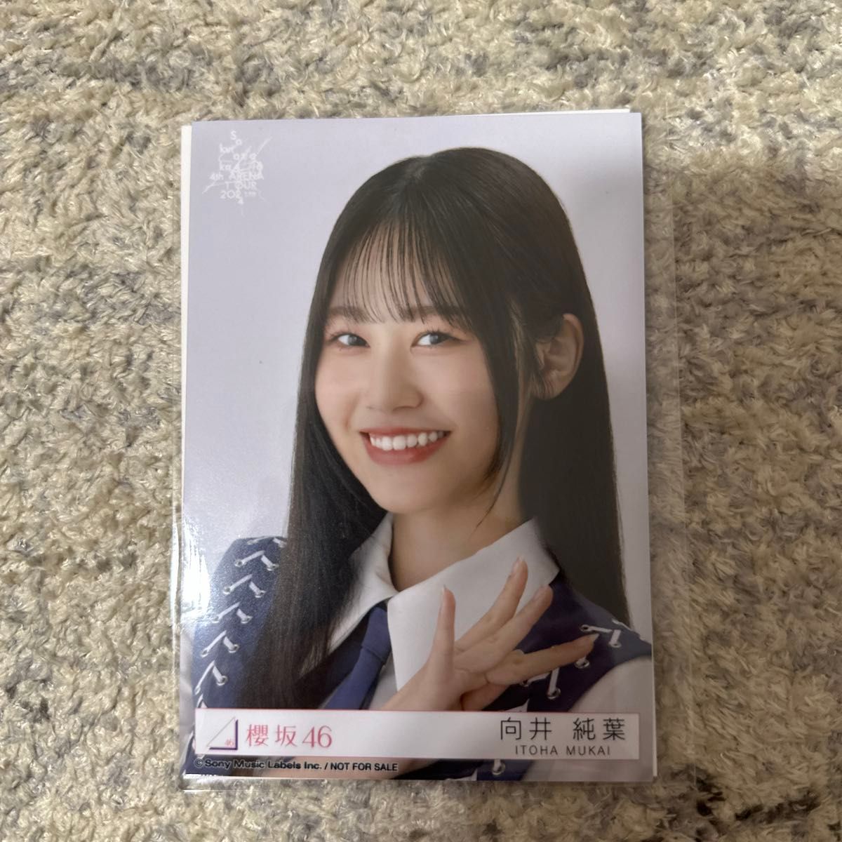 櫻坂46 向井純葉 自業自得 ライブ会場撮りおろし プレミアム生写真