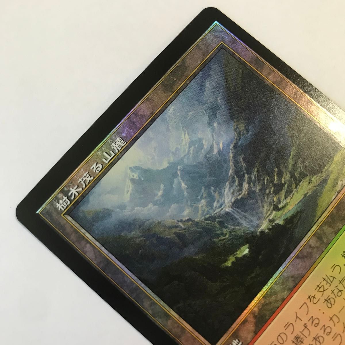 樹木茂る山麓foil 未プレイ品