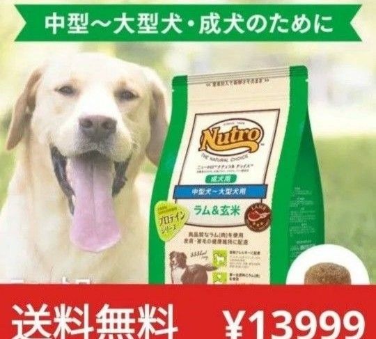 ニュートロナチュラルチョイスラム中大型成犬用プロ ニュートロ