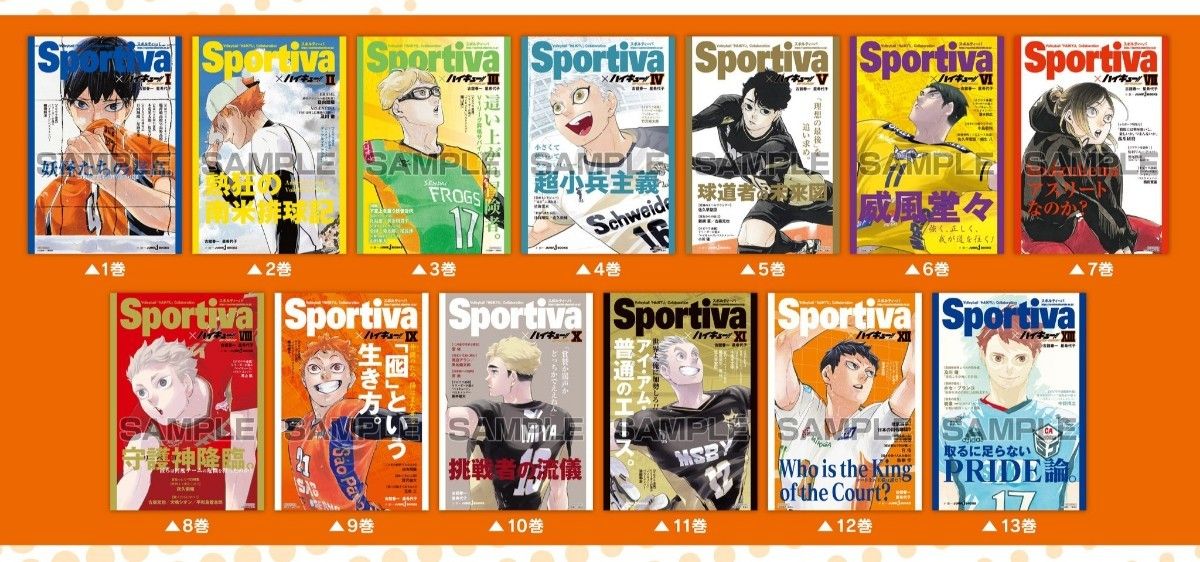 ハイキュー ショーセツバン 全巻セッット + ビジュアルボード + しおり付き