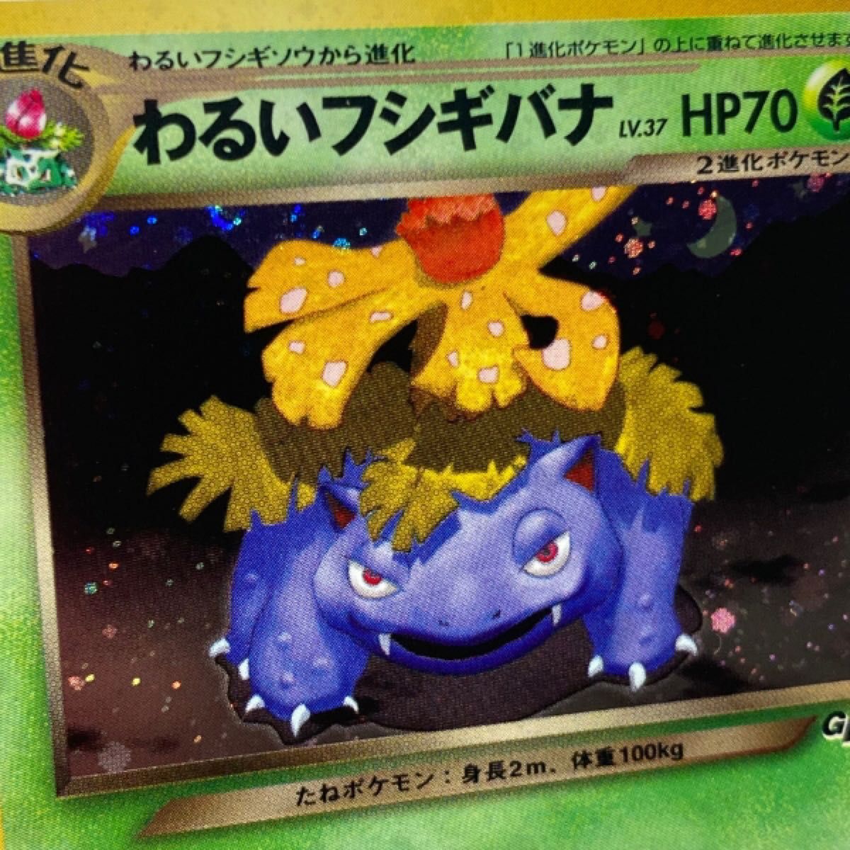 わるいフシギソウわるいフシギバナ2枚 ポケモンカードトレーナーズVol