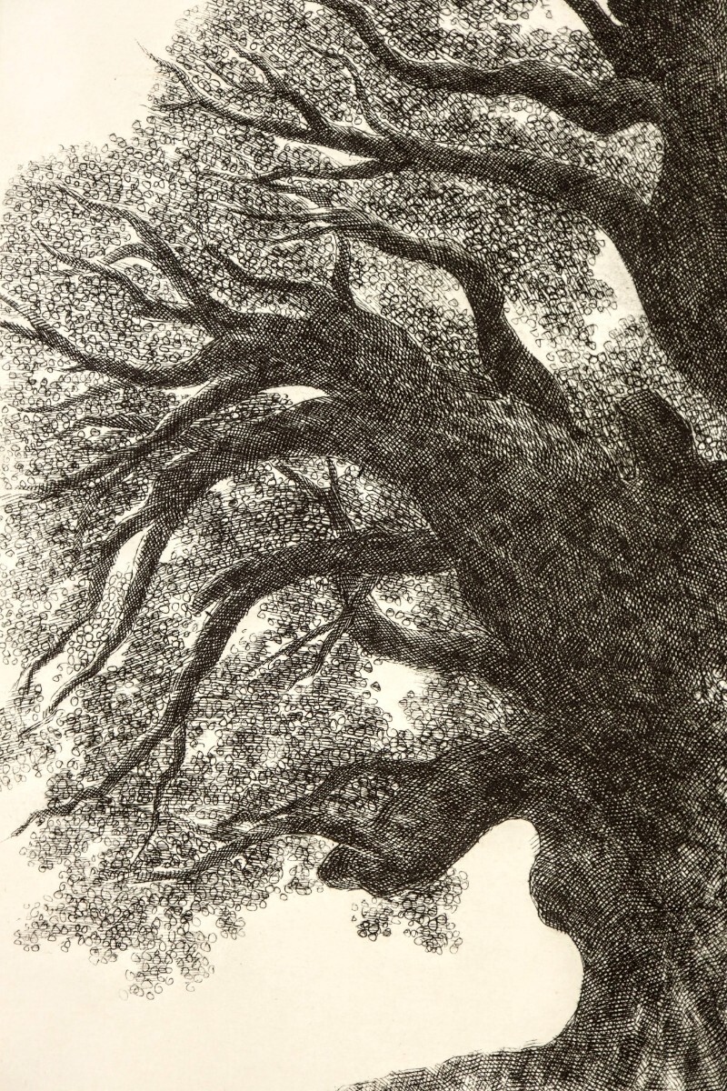 木村茂 銅版画集 日本の街 第7集 鶴岡 5点 限定75部