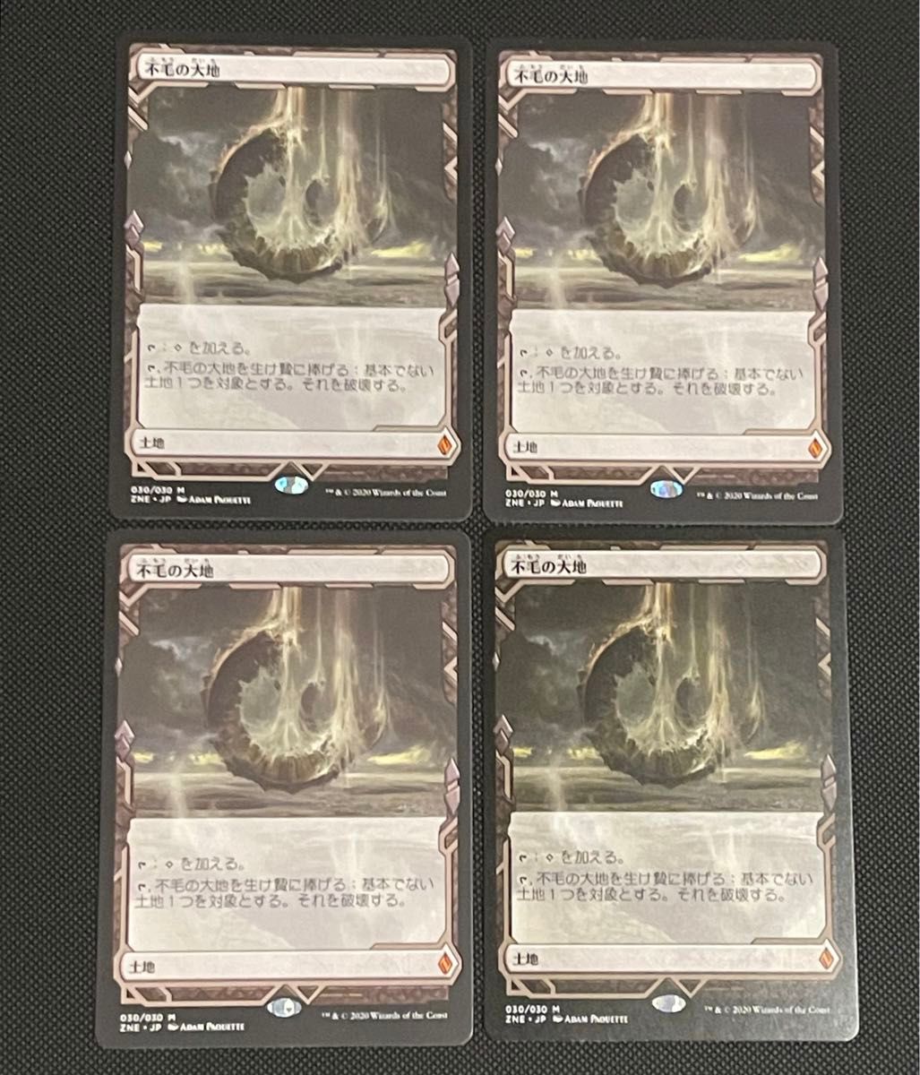 MTG 不毛の大地 日本語 4枚セット MTG 不毛の大地 日本語 4枚セット