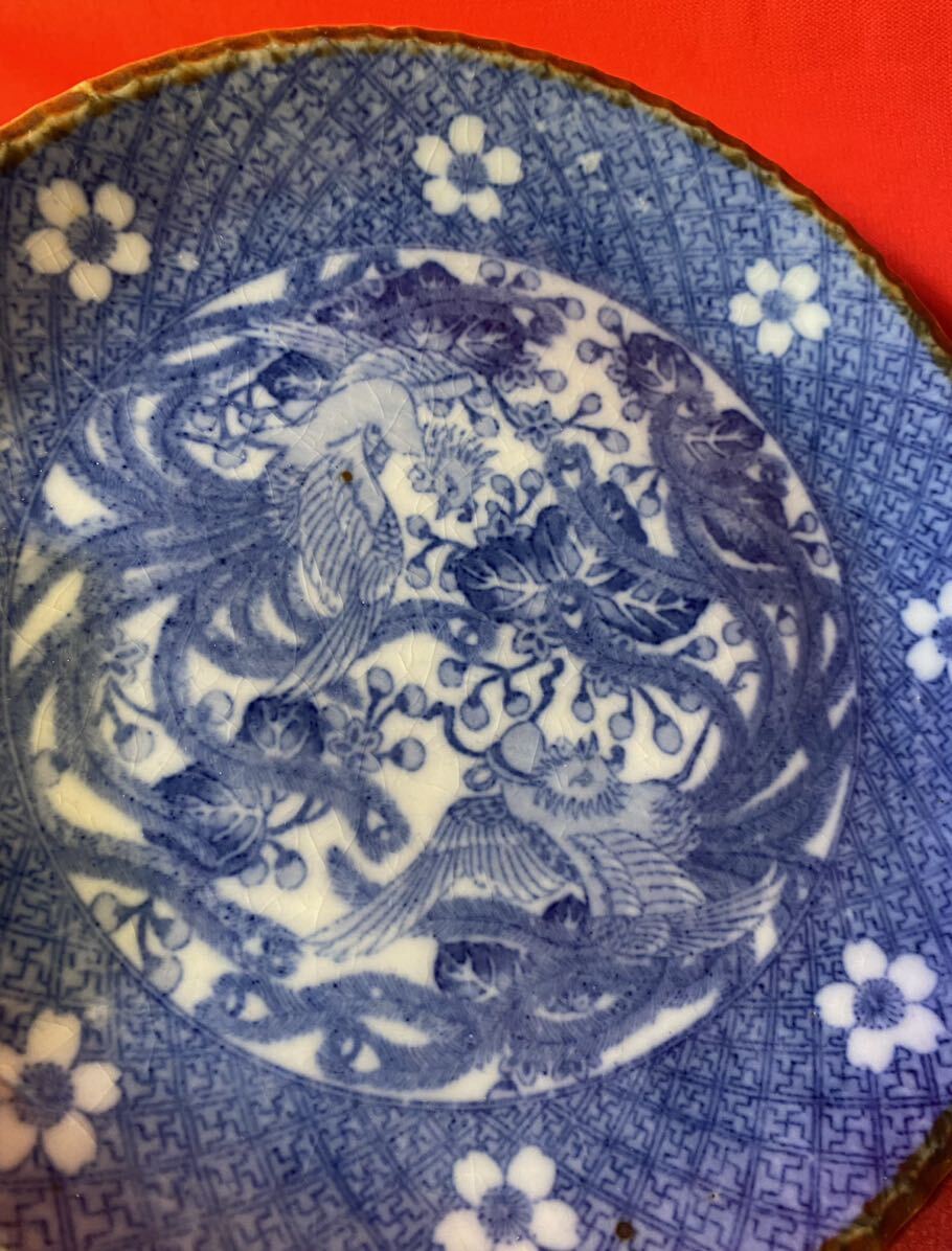 骨董品 染付 鳳凰 大皿 古伊万里