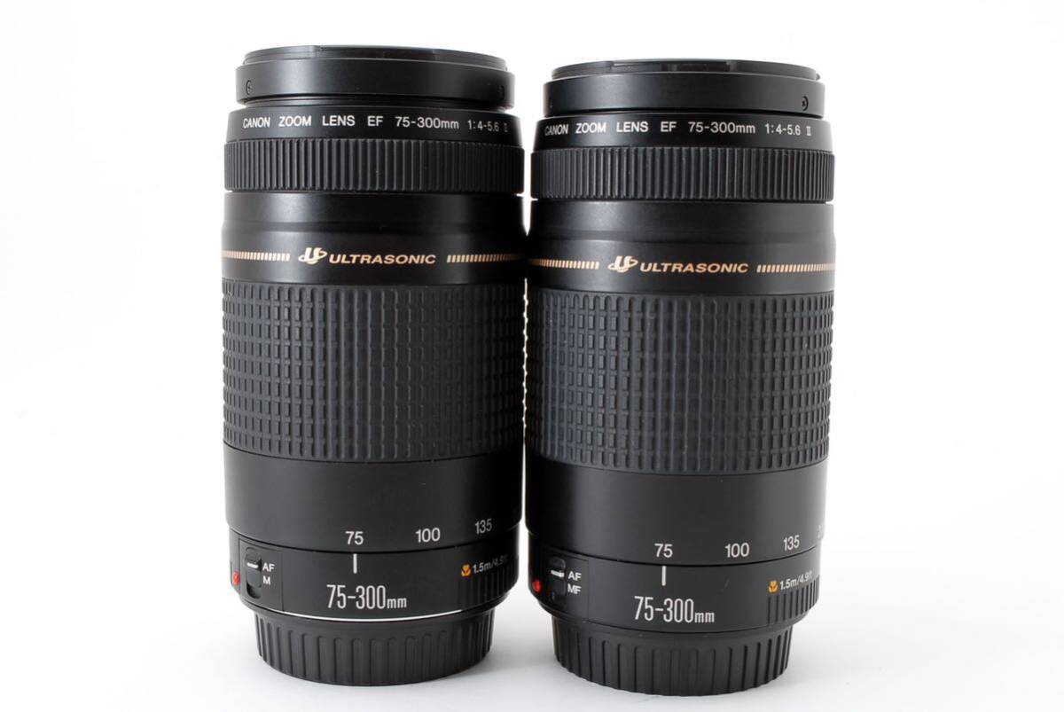 ココア美品 キャノン Canon EF 75-300㎜ F4-5.6 II ココア美品