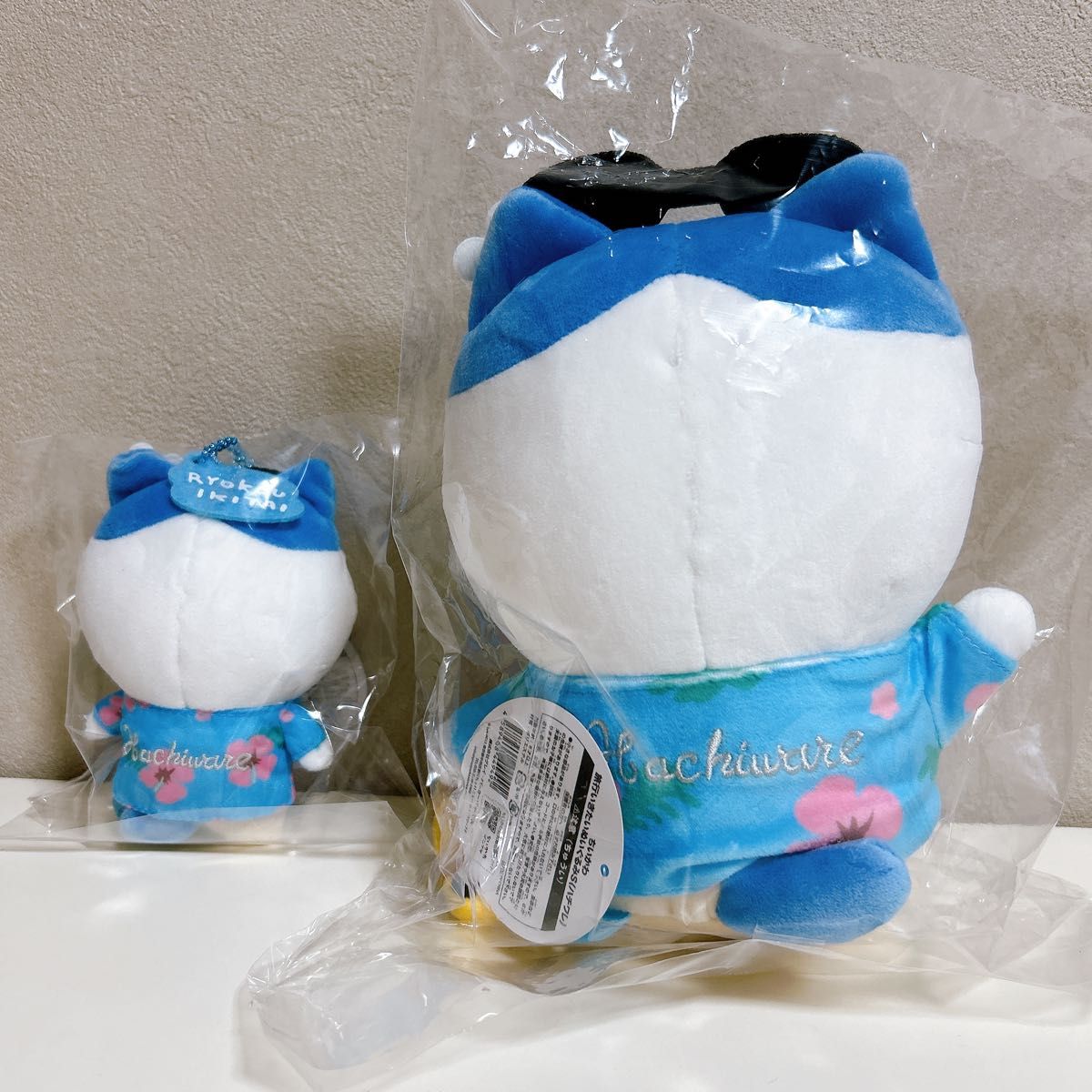 ちいかわ観光 旅行行きたいぬいぐるみS ちいかわハチワレ 2点セット