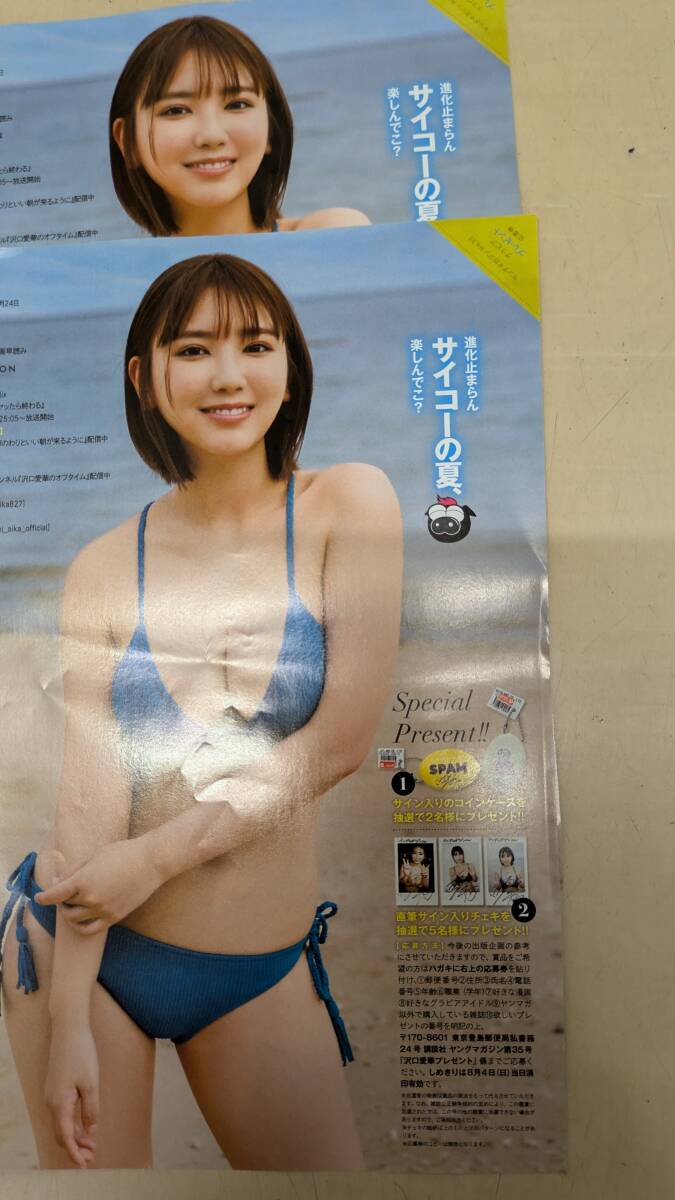 沢口愛華チェキサイン入り ヤンマガ ヤングマガジン 画像・写真 | 沢口