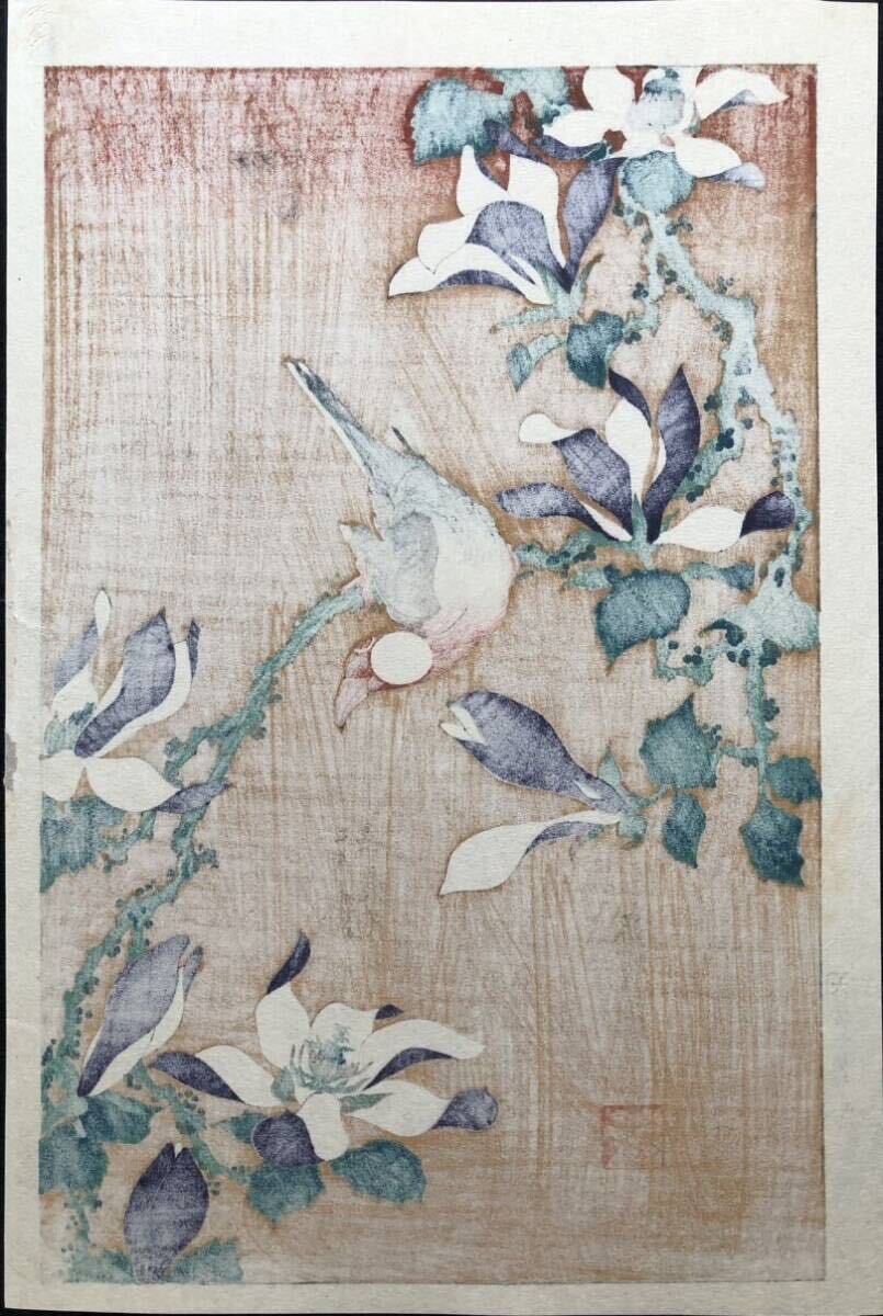 木版画 葛飾北斎【文鳥と辛夷花】大判 大江戸木版社 彫遠藤 摺