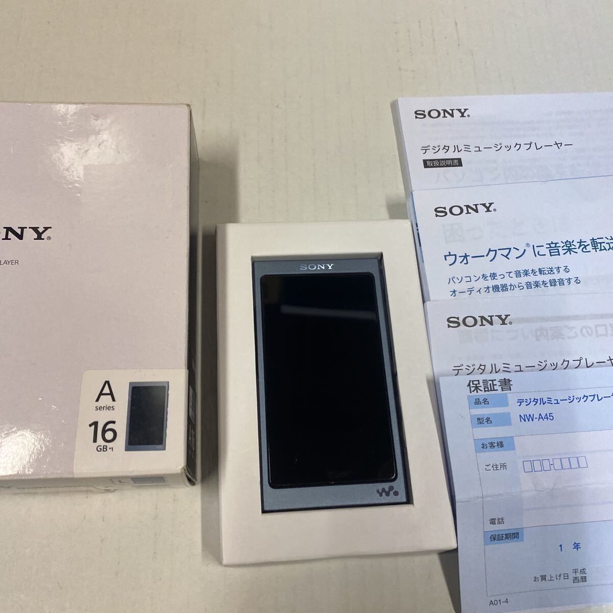 SONYウォークマン NW-A45 L オンライン WALKMAN （ムーンリットブルー