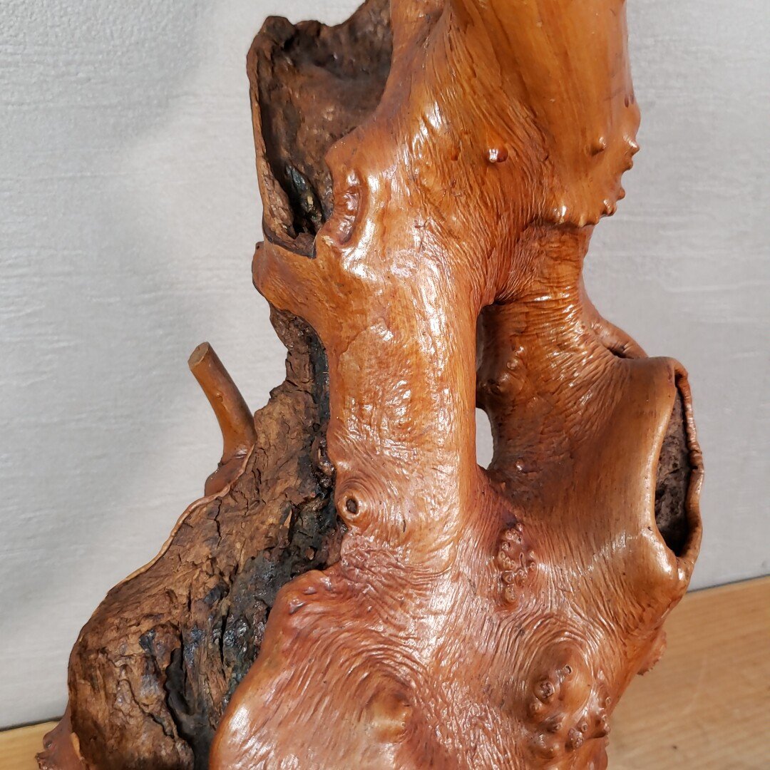木のオブジェ置物天然木自然木木瘤レア物異形インテリア和風