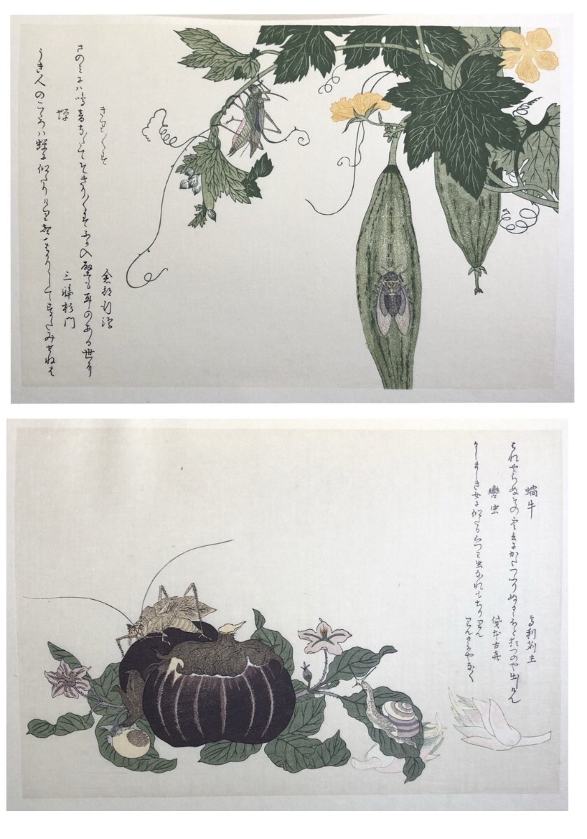 Yahoo!オークション - 喜多川歌麿『逸品虫えらみ』全15図 浮世絵 手摺