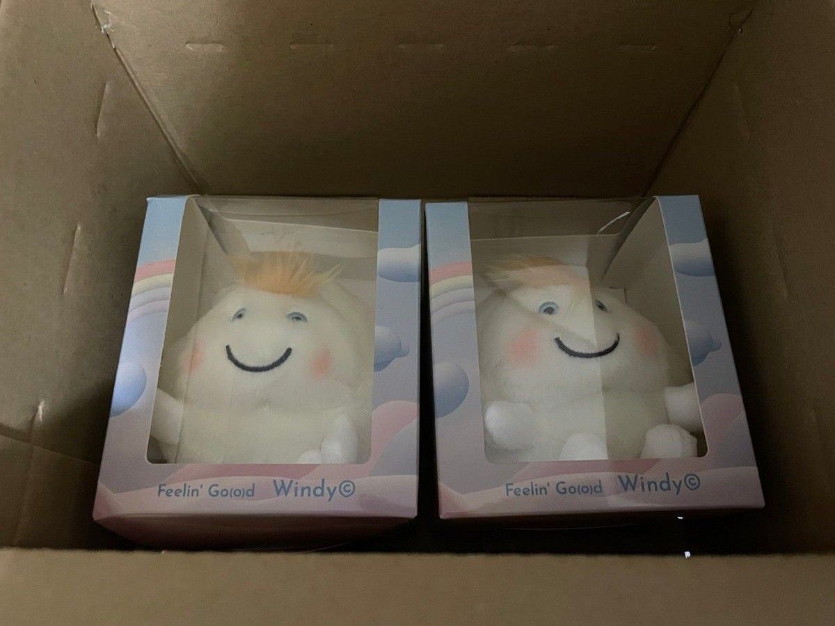 Fujii Kaze 藤井風 Windy ぬいぐるみキーホルダー 2個セット