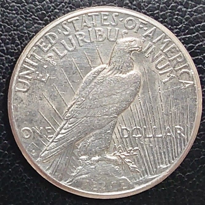 1922年 アメリカ銀貨 ピースダラー 1ドル銀貨 SV900 比重10 2 最終価格