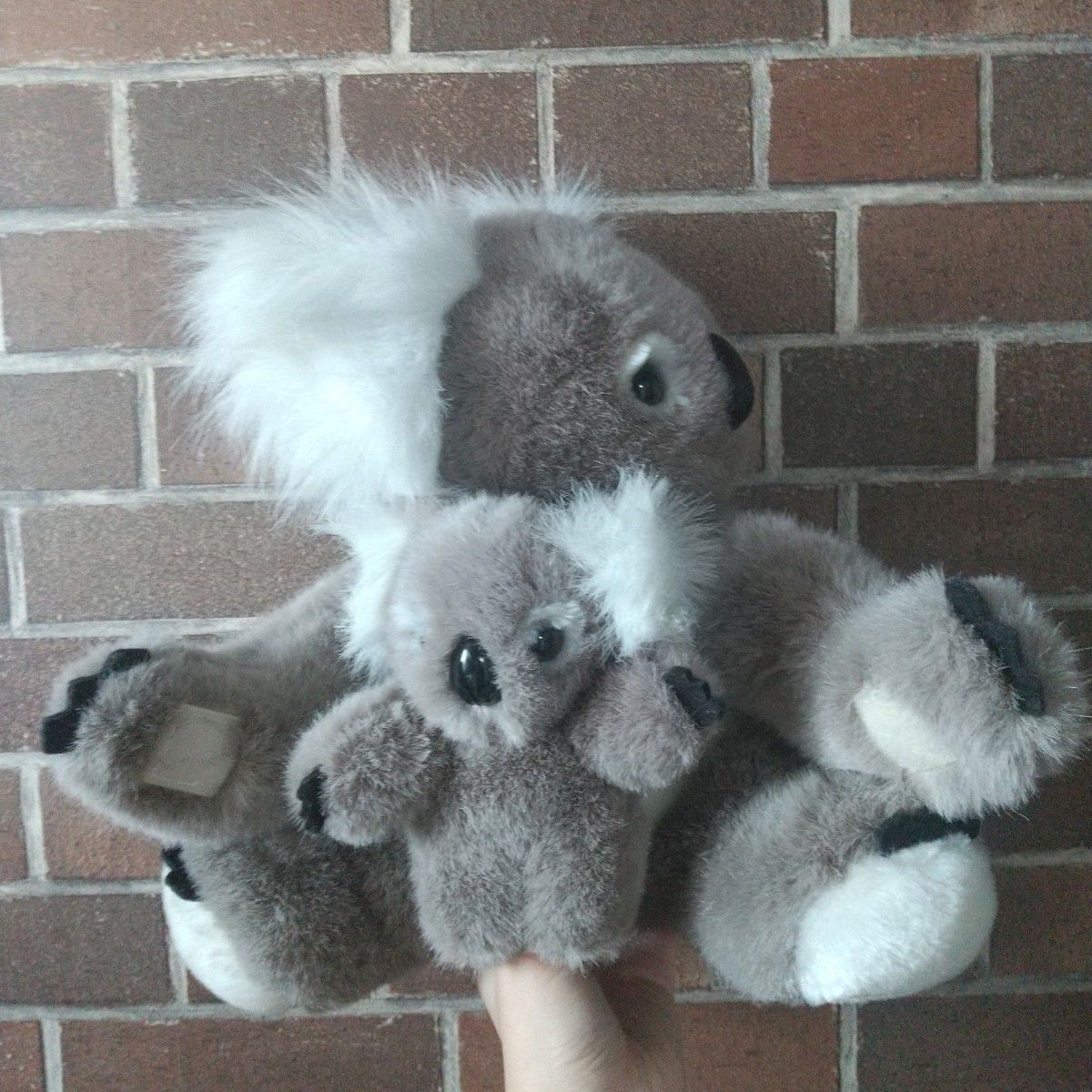 ぬいぐるみコアラシドニーオリンピック2000 オーストラリア