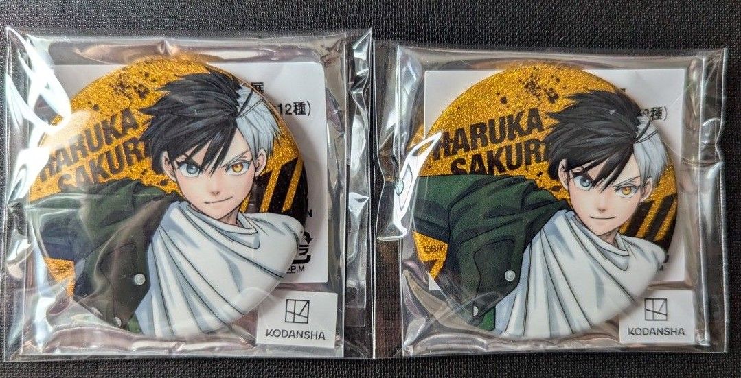 ウィンブレ展 桜 缶バッジ WIND BREAKER ウィンブレ展 ランダム