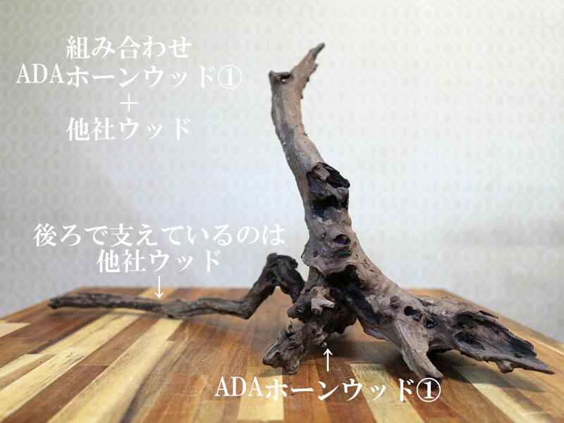 ADA ホーンウッド 流木2