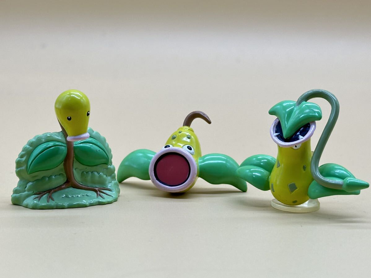 モンコレ マダツボミ＆ウツドン＆ウツボット タッツー＆シードラ