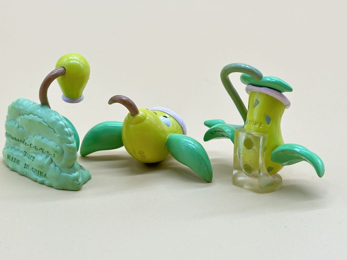 ポケモン モンコレ 初期 マダツボミ ウツドン ウツボット マダツボミ