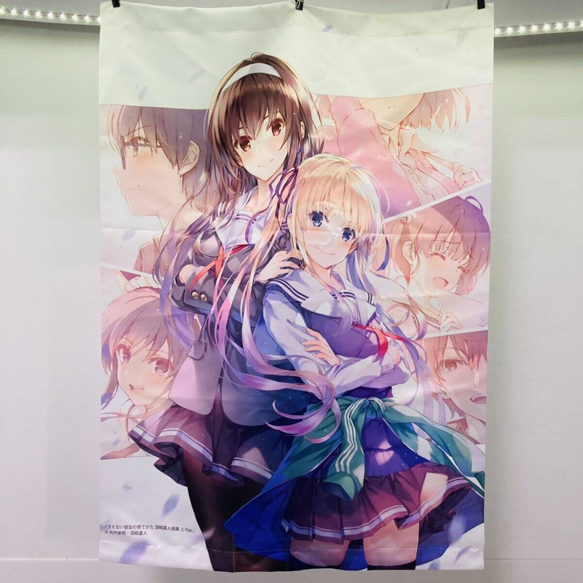 冴えない彼女の育てかた 冴えカノ タペストリー クリアポスター 冴え