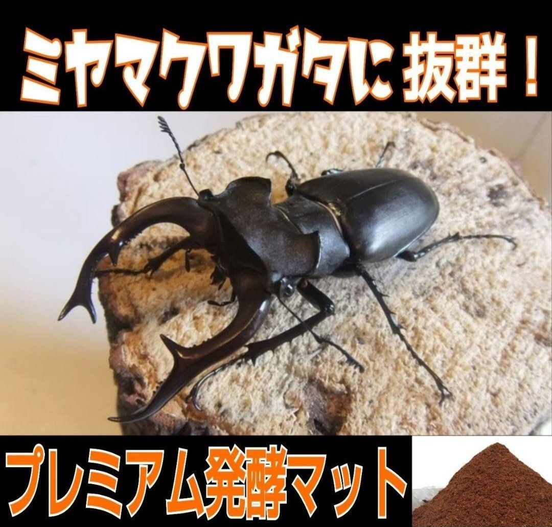 ミヤマクワガタ、ノコギリ幼虫に抜群！800mlボトル入プレミアム発酵
