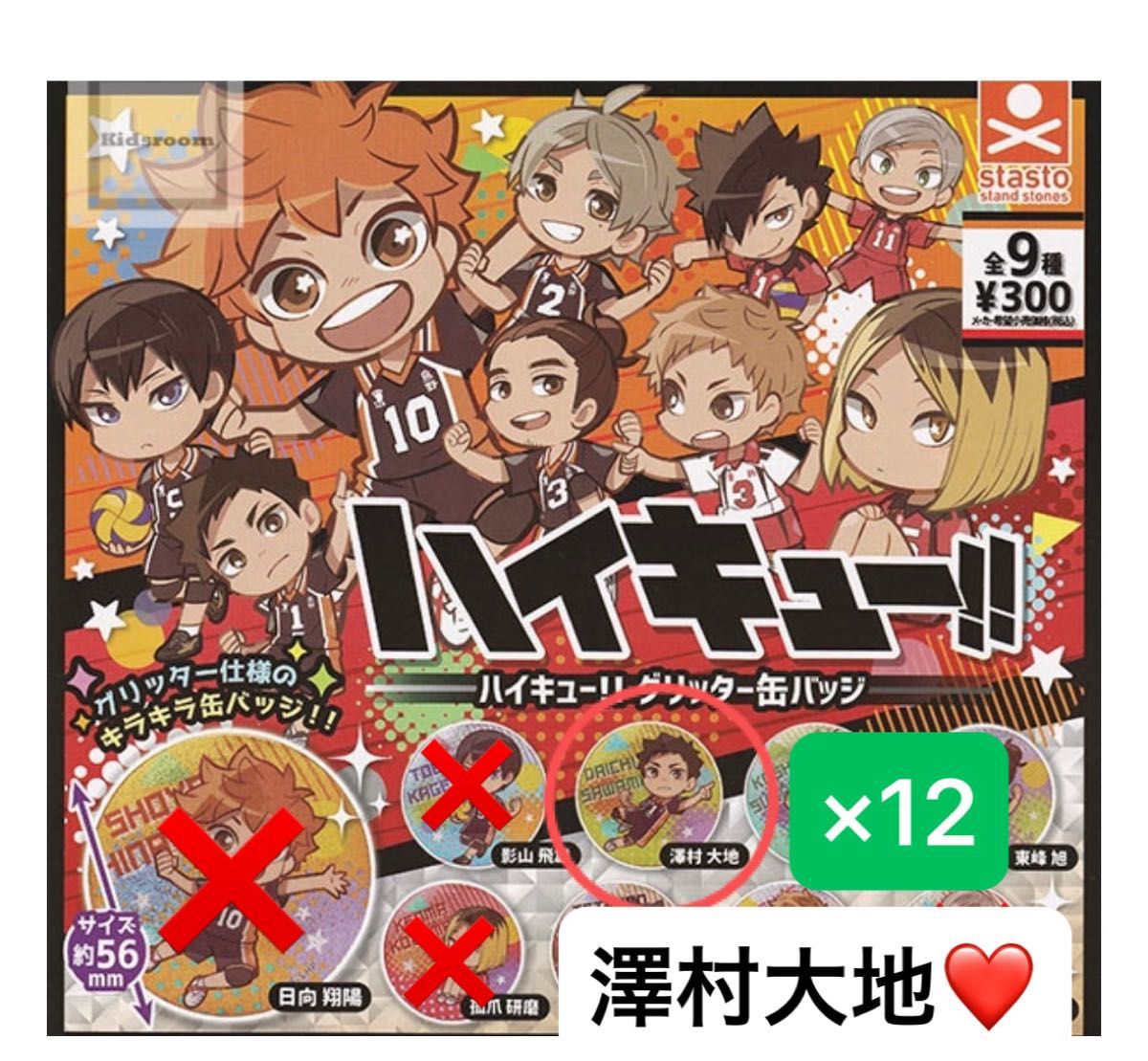 ハイキュー 澤村大地 コレクション缶バッジ MEMORIES 第2弾 10点