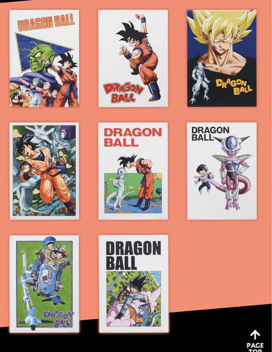 ドラゴンボール ビジュアルボード 12枚セット｜Yahoo!フリマ（旧PayPay